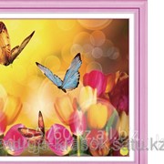 Картина стразами в 3Д Бабочки и тюльпаны 50х50 см фотография