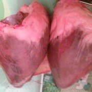 Сердце говяжье Украина фото