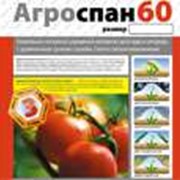 Агроспан Укрывной Материал Купить В Леруа Мерлен