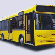 Автобус МАЗ - 105, Автобусы фото