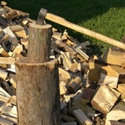 Куплю дрова на экспорт в Украине