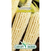 Семена кукуруза Попкорн 5 г фото