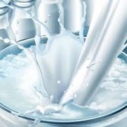 Молоко и молочные продукты, купить в Украине