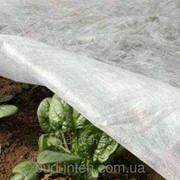 Агроволокно Plant Protex 30 г\м2 фото