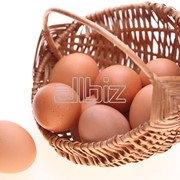 Куриные яйца