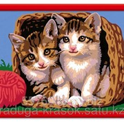Картина по номерам Кошечки в корзинке фотография