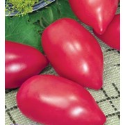Семена томата высокорослого Розовый фламинго (20 штук) фото