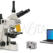 Люминесцентные микроскопы. Микроскоп Альтами ЛЮМ вариант 1 фото