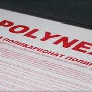 Поликарбонат POLYNEX 4 мм фото