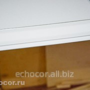 Потолочные панели скрытого монтажа, ЭхоКор 70/600 ПС фотография