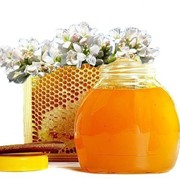 Мёд гречишный. Бесплатная доставка по Харькову +100 г другого сорта фотография