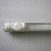 Светодиодная лампа ДС-Т8-PIR-10W 600 mm фото