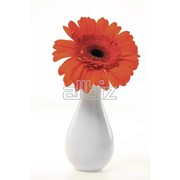 Керамические вазы, Вазы керамические для цветов... фотография