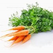Морковь свежая, молодая.