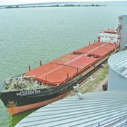 Организация перевозок грузов водным транспортом