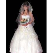 Прокат свадебных платьев фото