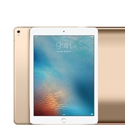 Apple iPad Pro 128GB Wi-Fi 12.9inch - Space Gray - Gold - Apple SIM