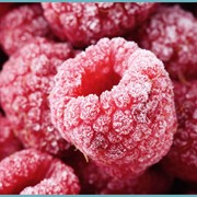 Raspberry (малина) фотография