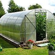 Теплица 4x2,5/1м СПК Усиленный 1Д+2Ф фото