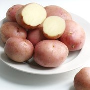 Картофель сорт Романо