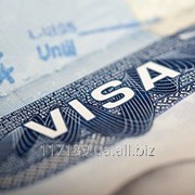 Мульти виза в США на 10 лет! фотография