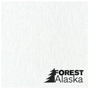 Декоративные панели для потолка Alaska фото