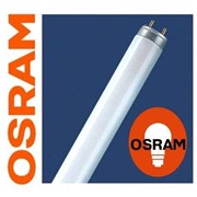 Лампы OSRAM LUMILUX (Т8, G13)