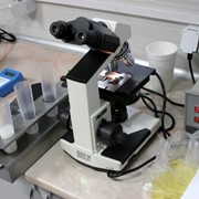 Сперма хряков, Спермодозы фото