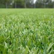 Незасыпная искусственная трава фото