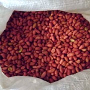 Узбекский арахис фото