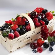 Дикорастущие ягоды в Украине