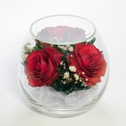 Роза в стекле tm NFP Bmi-R фото