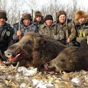 Охота в Болгарии фото