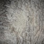 Шерсть овечья, Сырье животного происхождения для легкой промышленности, Меринос, ЧП фото
