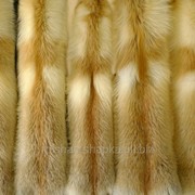 Мех сибирской рыжей лисы фото