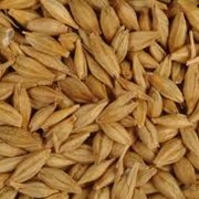 Зерно Ячмень Пшеница Хранение Переработка сушка на элеваторах в Казахстане