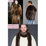 Шубы, куртки, шарфы из меха баргузинского соболя мужские фото