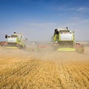 Уборка урожая комбайнами фото