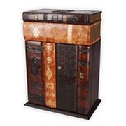 Бар в книжном стиле, бежевый фото