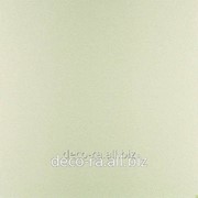 Рулонные шторы Мини Umbra b / o Cream 40 см фото