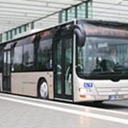 Автобусы городские фото