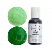 Краситель гелевый AmeriColor Mint Green 21 г (цвет 112) фотография
