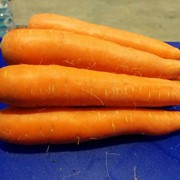 Морковь из Сербии