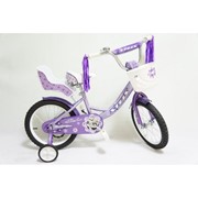 Детский велосипед Stels - Echo фото