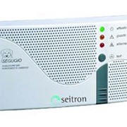 Сигнализатор загазованности Seitron RGDCO0MP1