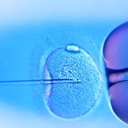 Инъекция сперматозоида в яйцеклетку, (Клиника репродуктивной медицины ВіоТехСом) фото