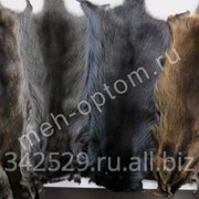 Мех енот-полоскун тонированый фото