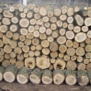 Заготовьте дров к отопительному сезону !!! фото