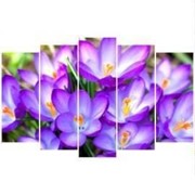 Пятипанельная модульная картина 80 х 140 см Фиолетово-сиреневые цветочки крокусы фото