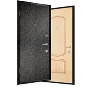 Дверь металлическая 12